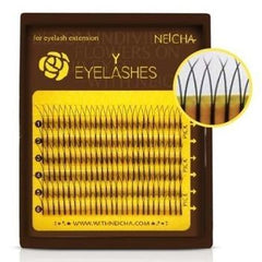 Eyelash Extensions Y Mini