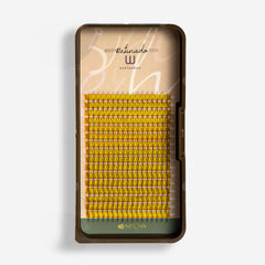 Eyelash Extensions W