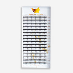 Russian Volume Eyelash Extensions 3D Pre-made MIX