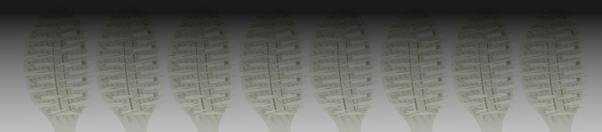 Brosses démêlantes